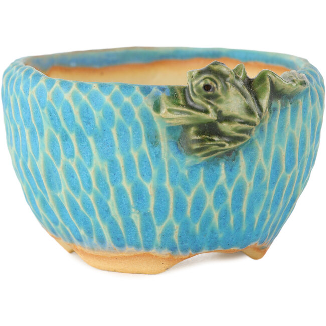 Round blue bonsai pot by Masashi Furumoto - 85 x 85 x 50 mm