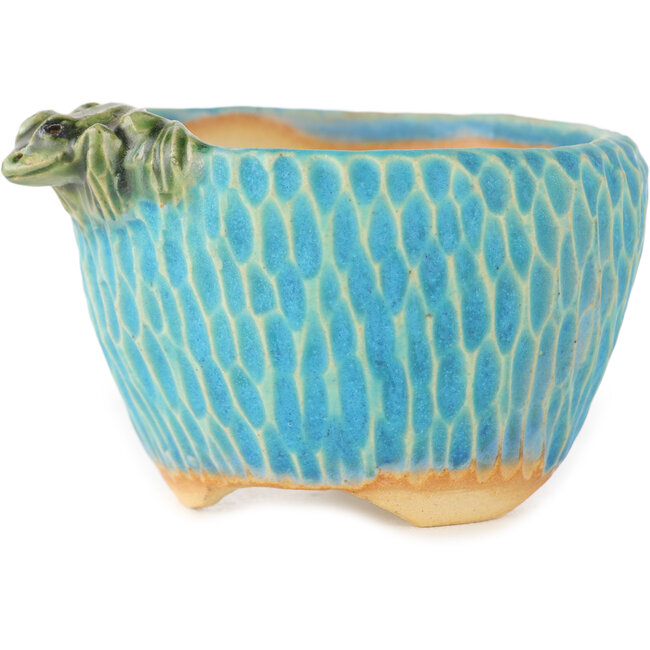 Ronde blauwe bonsaipot van Masashi Furumoto - 80 x 85 x 50 mm