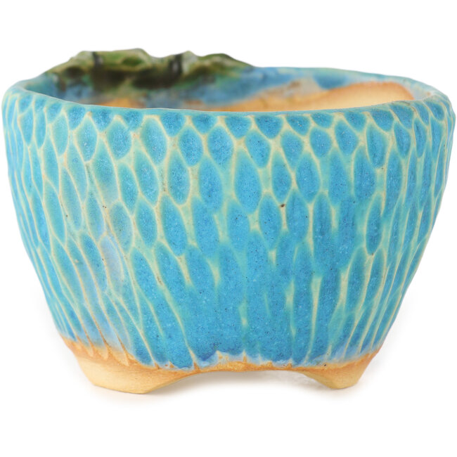 Ronde blauwe bonsaipot van Masashi Furumoto - 80 x 85 x 50 mm