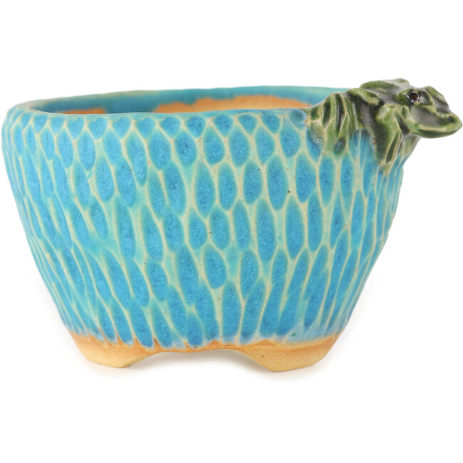 Round blue bonsai pot by Masashi Furumoto - 80 x 85 x 50 mm