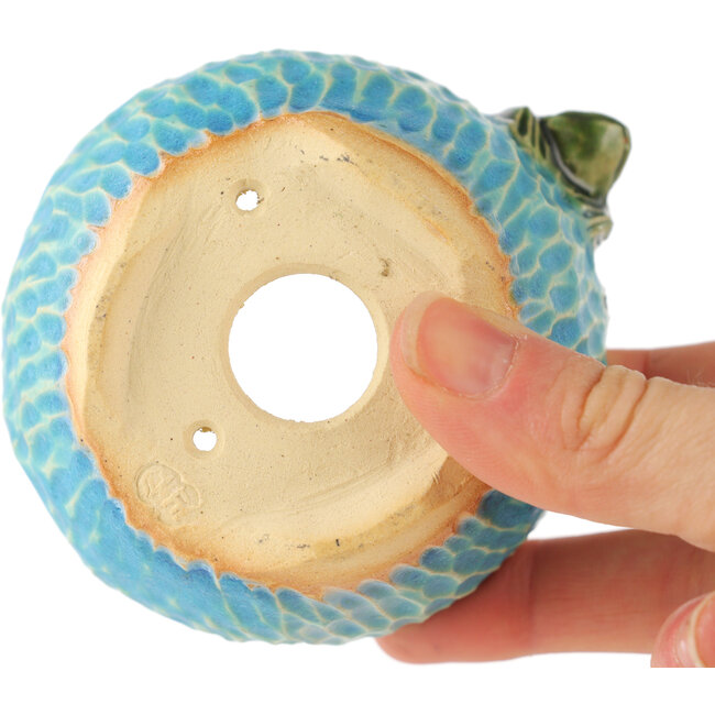 Runder blauer Bonsai-Topf von Masashi Furumoto - 80 x 85 x 50 mm