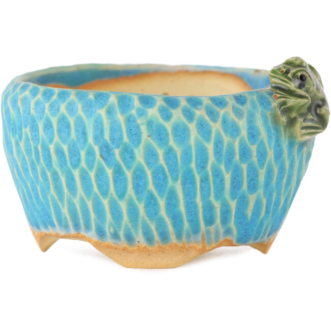 Round blue bonsai pot by Masashi Furumoto - 75 x 80 x 45 mm