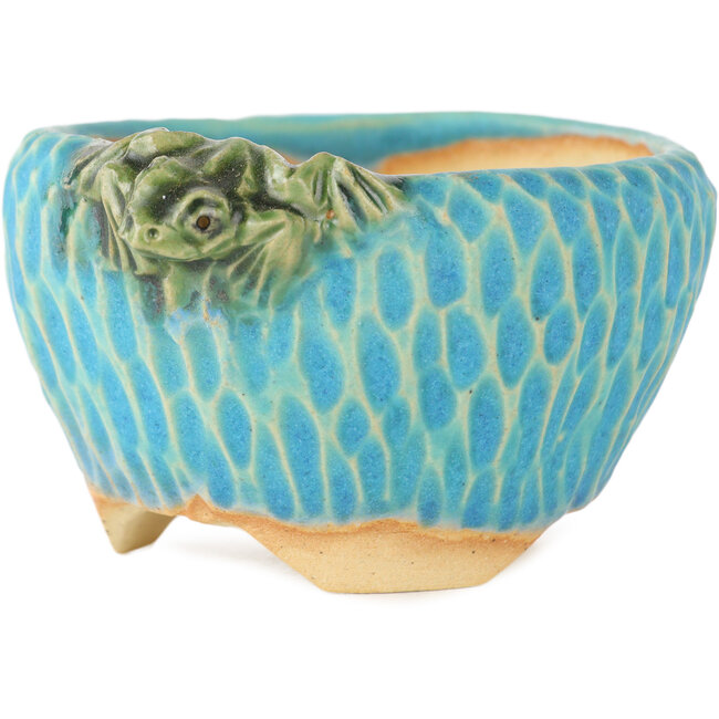 Round blue bonsai pot by Masashi Furumoto - 75 x 80 x 45 mm