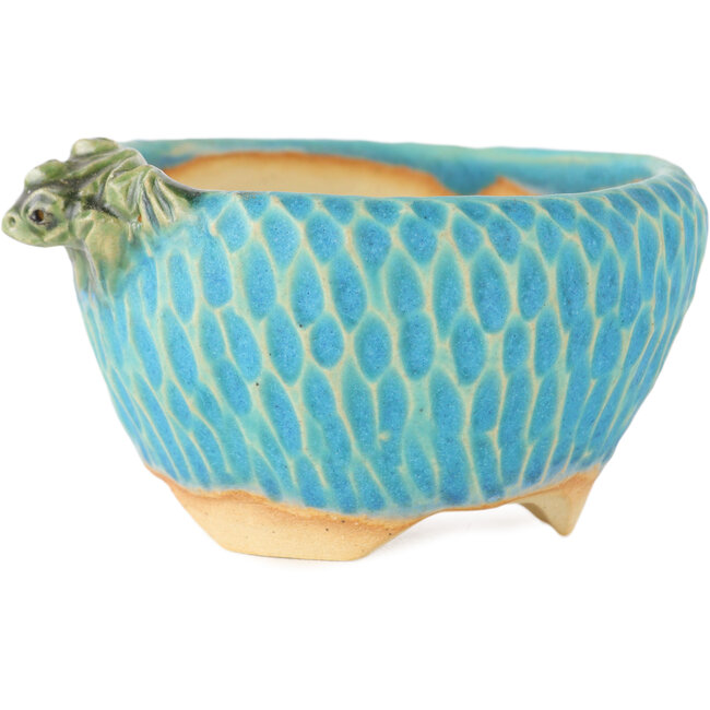 Round blue bonsai pot by Masashi Furumoto - 75 x 80 x 45 mm