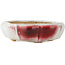 Mokko white and red craquelé bonsai pot by Eime Yozan - 195 x 165 x 50 mm