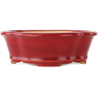  Eimei ( Yozan kiln) Maceta para bonsái roja mokko de 140 mm de Eime Yozan, Tokoname, Japón