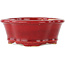 Maceta para bonsái Mokko roja de Eime Yozan - 140 x 120 x 50 mm