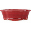 Maceta para bonsái Mokko roja de Eime Yozan - 140 x 120 x 50 mm