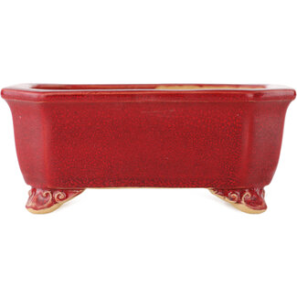  Eimei ( Yozan kiln) Pot à bonsaï rectangulaire rouge de 130 mm par Eime Yozan, Tokoname, Japon