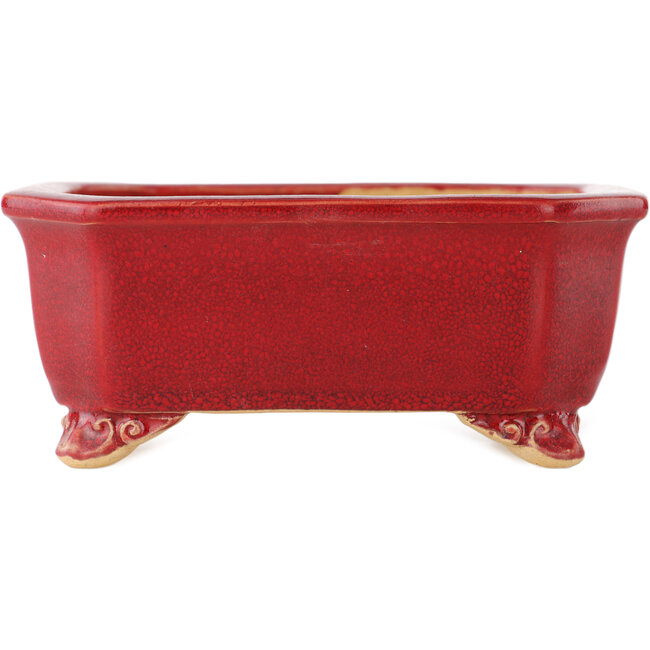 Pot à bonsaï rectangulaire rouge par Eime Yozan - 130 x 105 x 50 mm