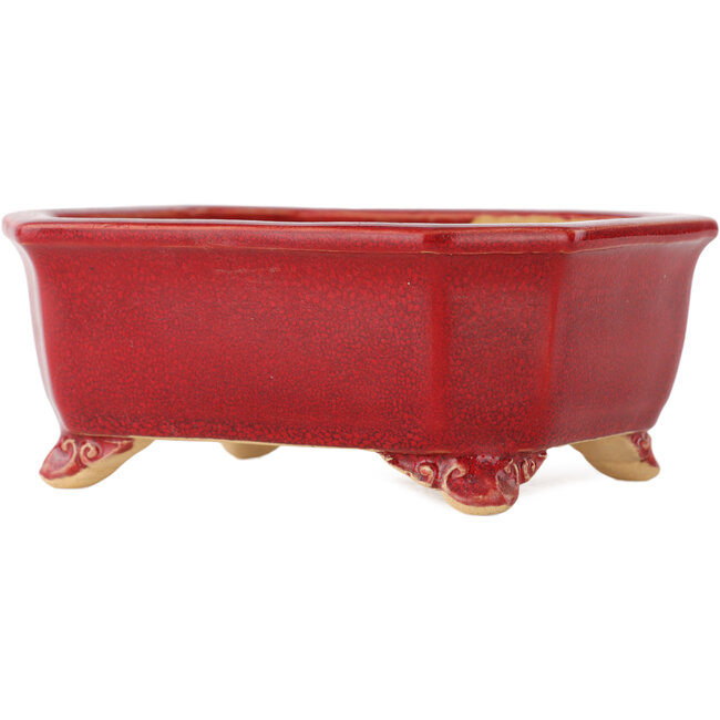 Vaso bonsai rettangolare rosso di Eime Yozan - 130 x 105 x 50 mm