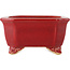 Maceta rectangular roja para bonsái de Eime Yozan - 130 x 105 x 50 mm