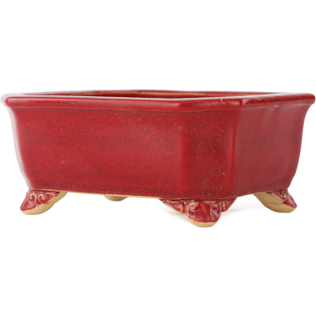 Vaso bonsai rettangolare rosso di Eime Yozan - 130 x 105 x 50 mm