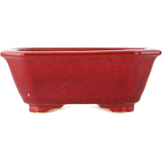  Eimei ( Yozan kiln) Pot à bonsaï rectangulaire rouge de 130 mm par Eime Yozan, Tokoname, Japon