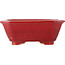 Maceta rectangular roja para bonsái de Eime Yozan - 130 x 103 x 50 mm