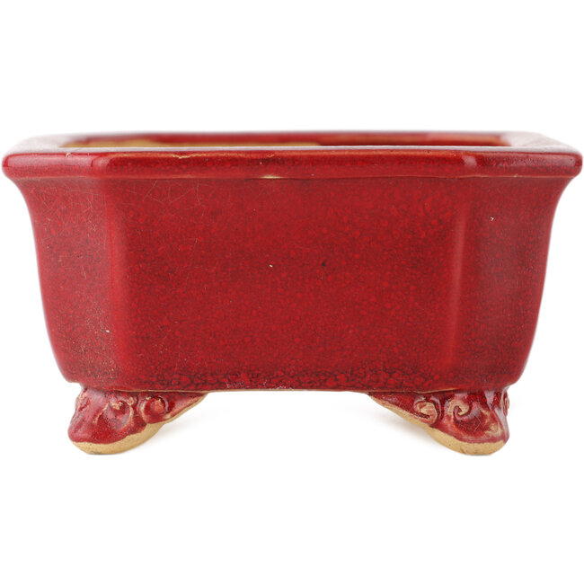 Pot à bonsaï rectangulaire rouge par Eime Yozan - 130 x 105 x 50 mm