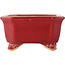 Pot à bonsaï rectangulaire rouge par Eime Yozan - 130 x 105 x 50 mm