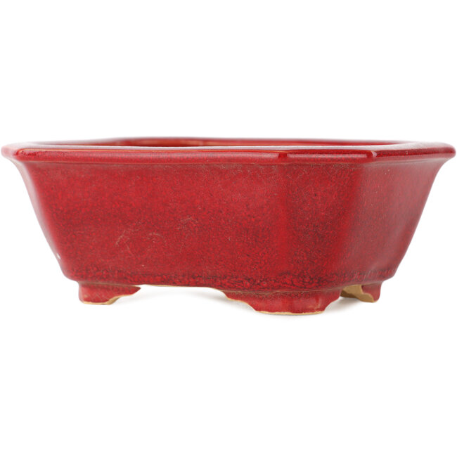 Pot à bonsaï rectangulaire rouge par Eime Yozan - 130 x 103 x 50 mm