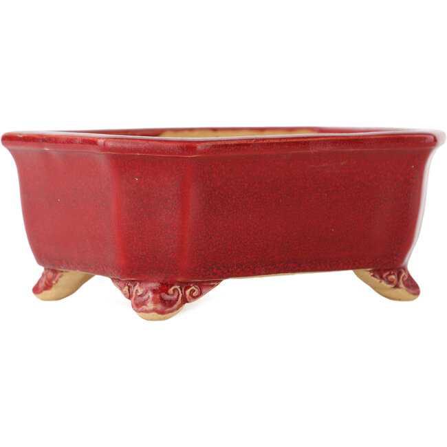 Maceta rectangular roja para bonsái de Eime Yozan - 130 x 105 x 50 mm