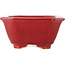 Maceta rectangular roja para bonsái de Eime Yozan - 130 x 103 x 50 mm