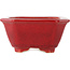 Rectangular red bonsai pot by Eime Yozan - 130 x 103 x 50 mm