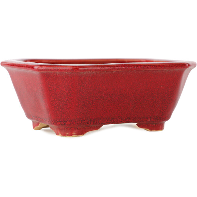 Rechthoekige rode bonsaipot van Eime Yozan - 130 x 103 x 50 mm