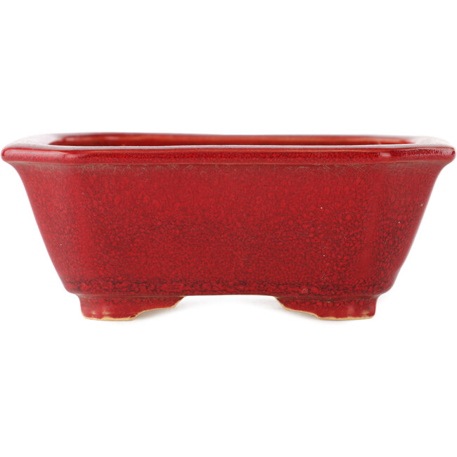 Vaso bonsai rettangolare rosso di Eime Yozan - 130 x 103 x 50 mm