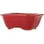 Rectangular red bonsai pot by Eime Yozan - 130 x 103 x 50 mm