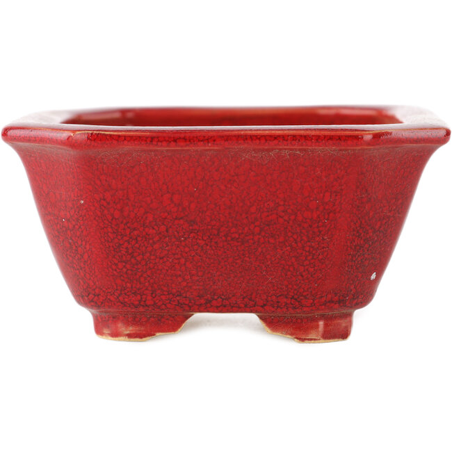 Pot à bonsaï rectangulaire rouge par Eime Yozan - 130 x 103 x 50 mm