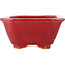 Rectangular red bonsai pot by Eime Yozan - 130 x 103 x 50 mm