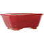 Rectangular red bonsai pot by Eime Yozan - 130 x 103 x 50 mm