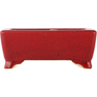  Eimei ( Yozan kiln) 125 mm rectangular red bonsai pot by Eime Yozan, Tokoname, Japan