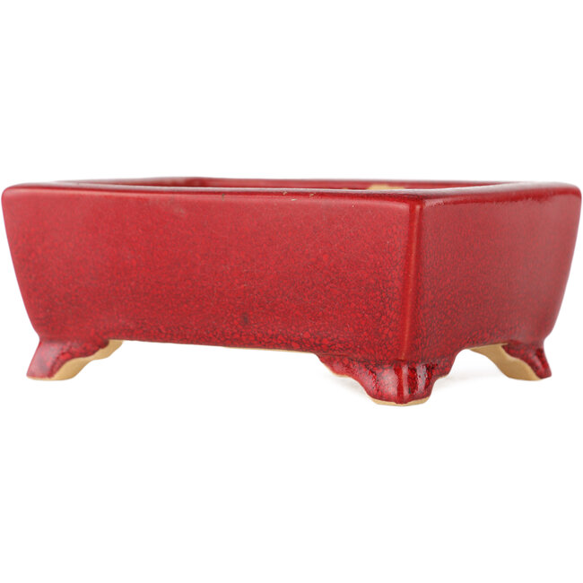 Maceta rectangular roja para bonsái de Eime Yozan - 125 x 90 x 50 mm