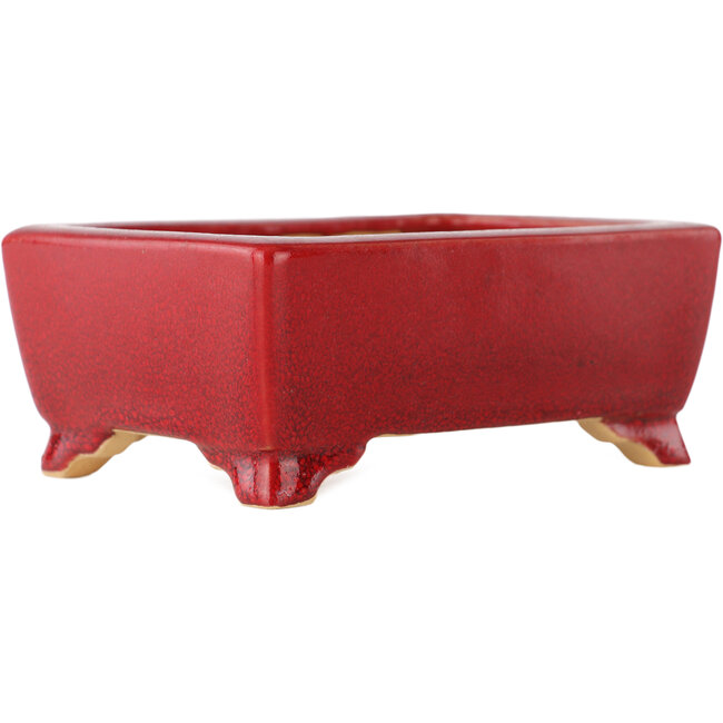 Rectangular red bonsai pot by Eime Yozan - 125 x 90 x 50 mm