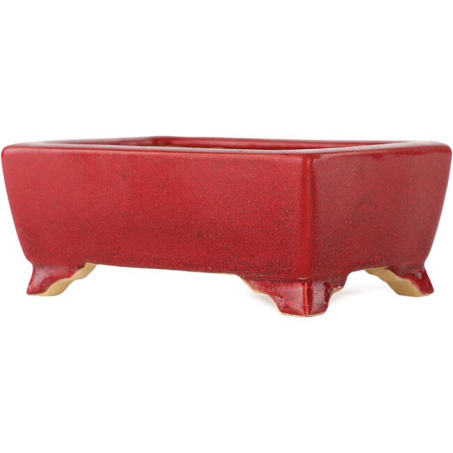 Pot à bonsaï rectangulaire rouge par Eime Yozan - 125 x 90 x 50 mm