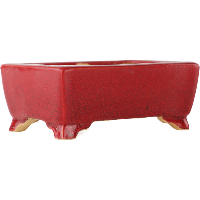 Maceta rectangular roja para bonsái de Eime Yozan - 125 x 90 x 50 mm