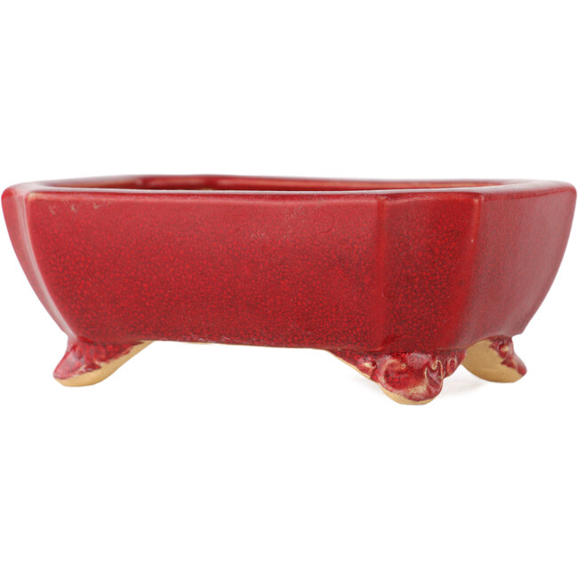 Rectangular red bonsai pot by Eime Yozan - 125 x 90 x 45 mm