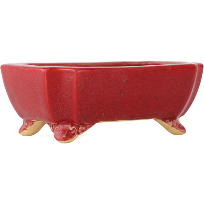 Maceta rectangular roja para bonsái de Eime Yozan - 125 x 90 x 45 mm