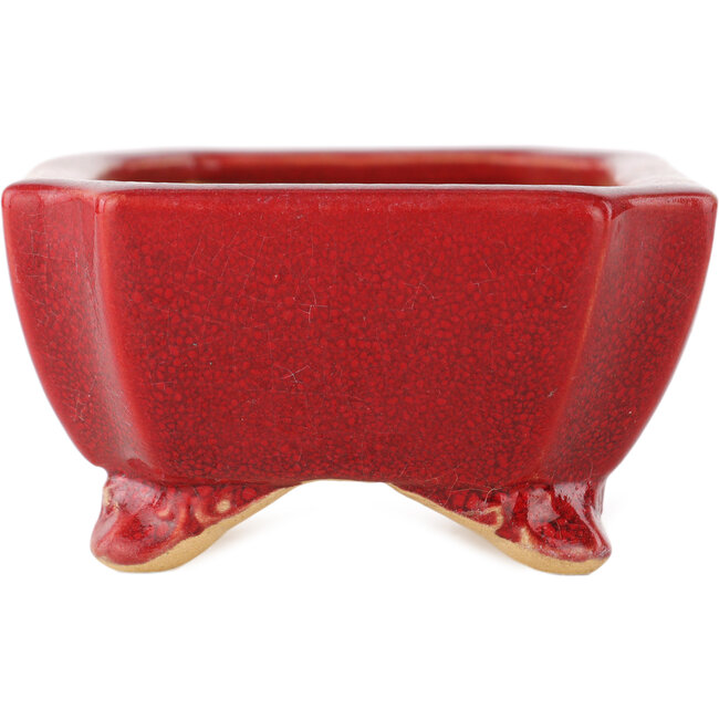Vaso bonsai rettangolare rosso di Eime Yozan - 125 x 90 x 45 mm