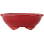 Oval red bonsai pot by Eime Yozan - 130 x 105 x 45 mm