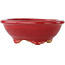 Pot à bonsaï ovale rouge par Eime Yozan - 130 x 105 x 45 mm