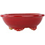 Oval red bonsai pot by Eime Yozan - 130 x 105 x 45 mm