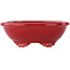 Oval red bonsai pot by Eime Yozan - 130 x 105 x 45 mm