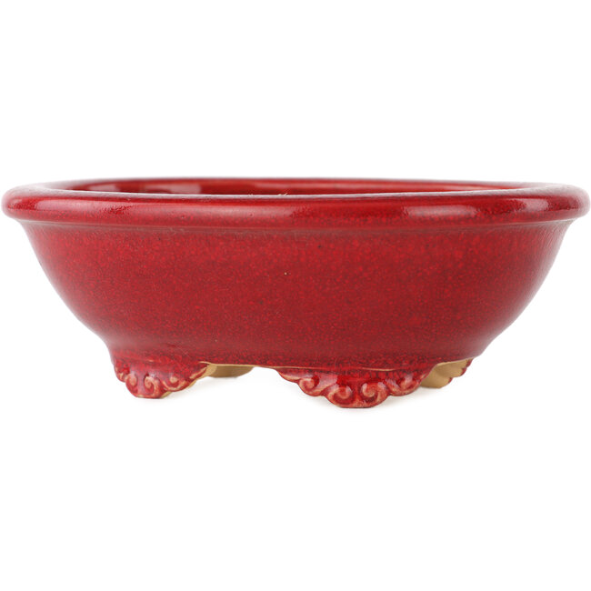 Ovale rode bonsai pot van Eime Yozan - 130 x 105 x 45 mm