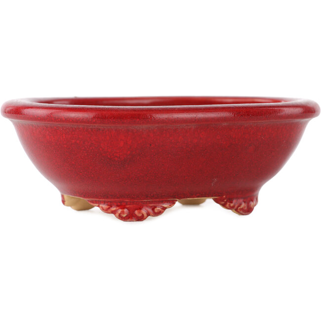 Vaso bonsai ovale rosso di Eime Yozan - 130 x 105 x 45 mm