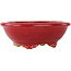 Pot à bonsaï ovale rouge par Eime Yozan - 130 x 105 x 45 mm