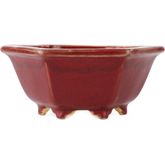  Eimei ( Yozan kiln) Pot à bonsaï hexagonal rouge de 107 mm par Eime Yozan, Tokoname, Japon
