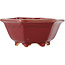 Pot à bonsaï hexagonal rouge par Eime Yozan - 107 x 107 x 55 mm