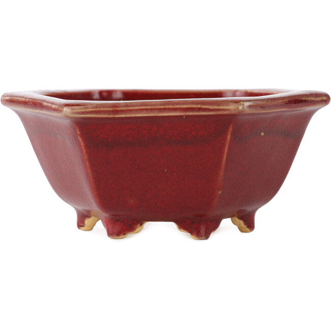 Vaso bonsai esagonale rosso di Eime Yozan - 107 x 107 x 55 mm