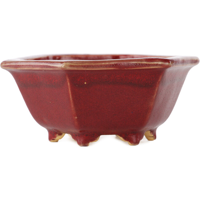Vaso bonsai esagonale rosso di Eime Yozan - 107 x 107 x 55 mm